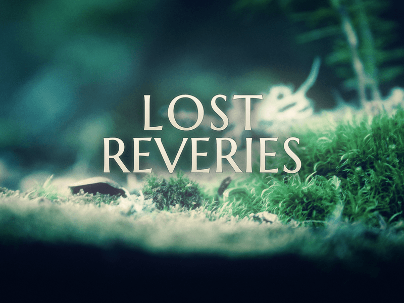 Lost Reveries interface