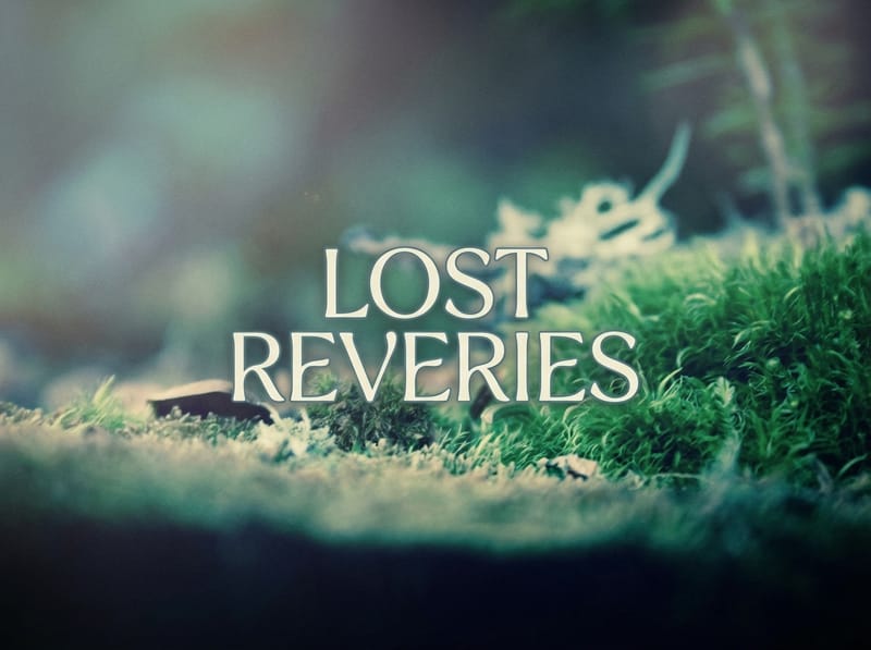 Lost Reveries interface