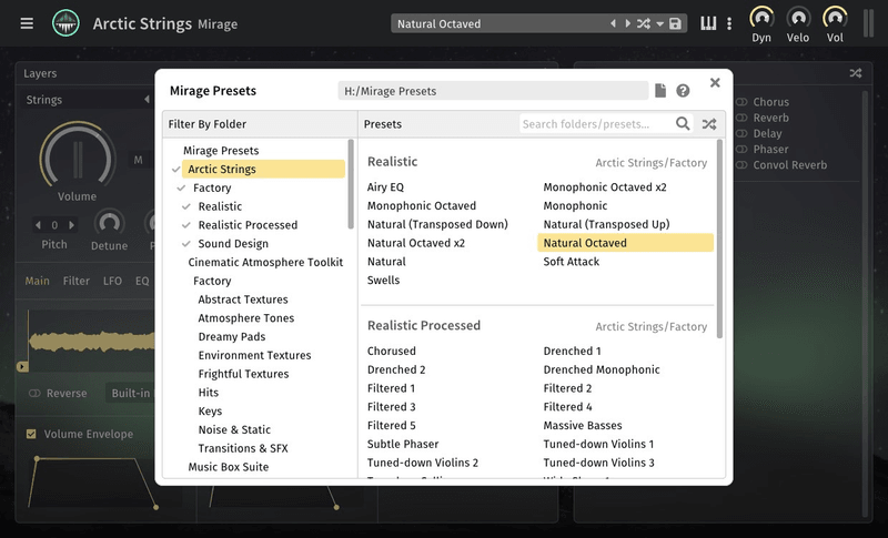 Arctic Strings image 4