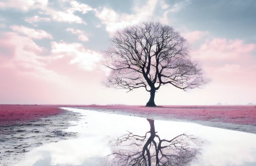 Lost Reveries Mood-board 6